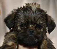 processed/41385701-4da1-4330-acd6-d4be7123112f/listing/f1afdcae-efa5-4c4d-8790-b1d59c472ff7/7c363e38-43be-4fa3-89b3-1a33799660b6