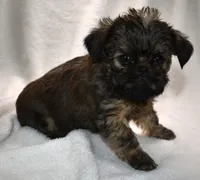 processed/41385701-4da1-4330-acd6-d4be7123112f/listing/f1afdcae-efa5-4c4d-8790-b1d59c472ff7/bab30177-3b71-4a1f-ad27-5b3f272dcc9d