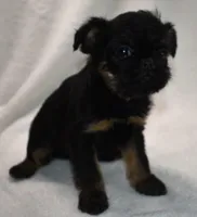 processed/41385701-4da1-4330-acd6-d4be7123112f/listing/f6746803-4933-4ce2-97df-ba3bd57ba1fe/005446a5-b0d6-4558-a999-fb0cc1a3ca07