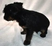 processed/41385701-4da1-4330-acd6-d4be7123112f/listing/f6746803-4933-4ce2-97df-ba3bd57ba1fe/0922332e-4292-498b-87dd-3a7cf9f747f3