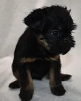 processed/41385701-4da1-4330-acd6-d4be7123112f/listing/f6746803-4933-4ce2-97df-ba3bd57ba1fe/3854a2fb-f227-48bb-ad56-d3fa44e6e5af