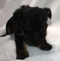 processed/41385701-4da1-4330-acd6-d4be7123112f/listing/f6746803-4933-4ce2-97df-ba3bd57ba1fe/3fd773aa-702f-48c3-8179-8749372d258c