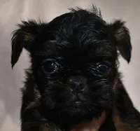 processed/41385701-4da1-4330-acd6-d4be7123112f/listing/f6746803-4933-4ce2-97df-ba3bd57ba1fe/83609a32-52a3-4539-93cb-2f1a3e9925d5