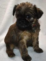 processed/41385701-4da1-4330-acd6-d4be7123112f/listing/ffcc2fcb-931b-4949-83b1-9248ae417fa9/1a27e34b-ae24-4872-9385-a21925060b5c