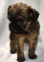 processed/41385701-4da1-4330-acd6-d4be7123112f/listing/ffcc2fcb-931b-4949-83b1-9248ae417fa9/4a92fb17-138d-4114-a9bc-243a2946189c