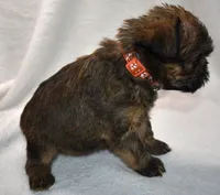 processed/41385701-4da1-4330-acd6-d4be7123112f/listing/ffcc2fcb-931b-4949-83b1-9248ae417fa9/995ec994-5e3e-4699-8110-1e6f279beb40