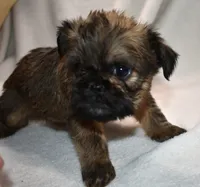 processed/41385701-4da1-4330-acd6-d4be7123112f/listing/ffcc2fcb-931b-4949-83b1-9248ae417fa9/c3e7b448-af44-4acc-aa52-5ca549d733b2