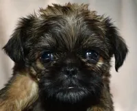 processed/41385701-4da1-4330-acd6-d4be7123112f/listing/ffcc2fcb-931b-4949-83b1-9248ae417fa9/d35f51c3-1b42-44c0-9a89-94dfb256b5a5