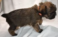 processed/41385701-4da1-4330-acd6-d4be7123112f/listing/ffcc2fcb-931b-4949-83b1-9248ae417fa9/d4201751-ca65-4e61-99e8-f6de24e685d3