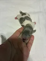 processed/413ee2da-dc40-48fe-b278-8ca292ef4de2/listing/498fc774-880f-44d6-af99-be29bde5661f/8627c953-211a-479f-86a0-bef1440a3a56