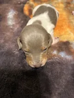 processed/413ee2da-dc40-48fe-b278-8ca292ef4de2/listing/498fc774-880f-44d6-af99-be29bde5661f/b6ec51a7-2b0d-4228-b4ee-85900cf2787f