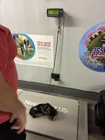 T-Bone, a male Dachshund for sale in Clinton, SC – Photo 4 of 5