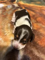 processed/413ee2da-dc40-48fe-b278-8ca292ef4de2/listing/eafd83c0-f675-4d2d-98c4-cf6f03d754f2/6f6e9792-eb94-4d18-8b2d-7d746bb4c329