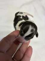 processed/413ee2da-dc40-48fe-b278-8ca292ef4de2/listing/eafd83c0-f675-4d2d-98c4-cf6f03d754f2/8d1ded0e-c651-4c3a-8eeb-f099a4497767