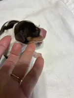 processed/413ee2da-dc40-48fe-b278-8ca292ef4de2/listing/eafd83c0-f675-4d2d-98c4-cf6f03d754f2/b2c7bef1-c587-488e-a5d0-ab6d7d7bf7d1