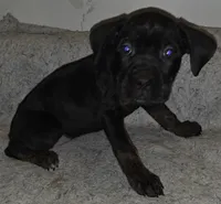 processed/413fdded-4f12-48a6-b08a-16f57748c191/listing/06305cdb-f47a-49d3-94ba-b192c87f8a70/86ad0ada-431a-49c1-999c-8364e470f504