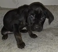 processed/413fdded-4f12-48a6-b08a-16f57748c191/listing/06305cdb-f47a-49d3-94ba-b192c87f8a70/a73a8ebc-f6ee-4097-9aed-2663d335bca8