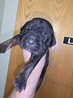 processed/413fdded-4f12-48a6-b08a-16f57748c191/listing/06305cdb-f47a-49d3-94ba-b192c87f8a70/b1c66c0f-1ad1-48cf-b2f5-6f133cd56591