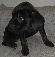 processed/413fdded-4f12-48a6-b08a-16f57748c191/listing/06305cdb-f47a-49d3-94ba-b192c87f8a70/f0f830aa-0d3c-4391-8c53-713d6d5b0a8a