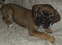 processed/413fdded-4f12-48a6-b08a-16f57748c191/listing/621ecbf0-2301-4894-b6c2-9125c64aff70/e9c5bd44-7eda-4d6d-afa9-3a2ef2792dae