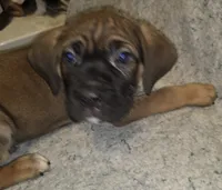 processed/413fdded-4f12-48a6-b08a-16f57748c191/listing/621ecbf0-2301-4894-b6c2-9125c64aff70/f0eb722c-b757-4a25-bd87-489a0758c263