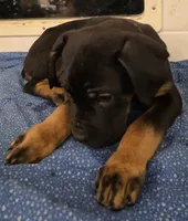 processed/413fdded-4f12-48a6-b08a-16f57748c191/listing/72caa17f-4daf-4304-b52a-b88df8d773b9/4fefdb11-e8b4-48f0-b5ae-e36a4366b094