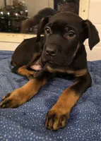 processed/413fdded-4f12-48a6-b08a-16f57748c191/listing/72caa17f-4daf-4304-b52a-b88df8d773b9/906fbf22-455c-4fbe-a36b-21aef5b9ed2d