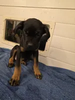 processed/413fdded-4f12-48a6-b08a-16f57748c191/listing/72caa17f-4daf-4304-b52a-b88df8d773b9/b4d25eb7-fb90-4c74-92f5-2c39e8620ad6