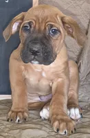 processed/413fdded-4f12-48a6-b08a-16f57748c191/listing/fd228daf-629d-4b6e-afb6-f0b0d4bef4f3/0bf4e2e5-b568-4288-b678-0e8fb4bb4c43