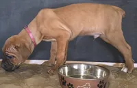 processed/413fdded-4f12-48a6-b08a-16f57748c191/listing/fd228daf-629d-4b6e-afb6-f0b0d4bef4f3/3595aaba-4957-45e9-8d0e-a8e90ad19423