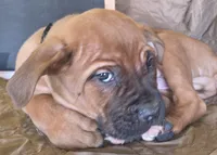 processed/413fdded-4f12-48a6-b08a-16f57748c191/listing/fd228daf-629d-4b6e-afb6-f0b0d4bef4f3/7150bda8-012c-4dc9-8494-28b9bf095137