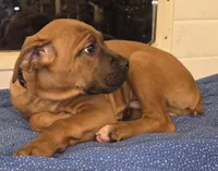 processed/413fdded-4f12-48a6-b08a-16f57748c191/listing/fd228daf-629d-4b6e-afb6-f0b0d4bef4f3/e26d9780-78ed-4df2-8322-621138c5780a