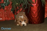 processed/4145a5dc-7bf7-4d20-bdea-b6b20887d619/listing/a933e679-6927-4b34-92eb-69b6dfe0fb41/ec9f90dd-1931-4e5e-a956-68abb0049d80