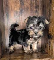 processed/414dbb92-b650-44d5-b735-15373cca89eb/listing/10be0ff7-54d6-4872-aef2-2f9f41eadfbc/7db8a687-271d-4d21-9681-08f1ac0cd4ea