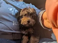 processed/414dbb92-b650-44d5-b735-15373cca89eb/listing/8e06ded4-98b2-43a9-8c76-85bca130c3a6/1cd375b0-4642-415d-bd69-3ec4fa6f145e