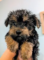 processed/414dbb92-b650-44d5-b735-15373cca89eb/listing/8e06ded4-98b2-43a9-8c76-85bca130c3a6/6e196867-85a3-4316-8ec6-8f5897f21490