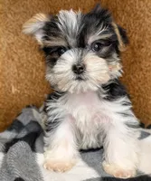 processed/414dbb92-b650-44d5-b735-15373cca89eb/listing/dda104bc-4bd4-46d0-8d36-9bd7385dcf4d/5809e300-de45-4197-8994-003371ba25d5