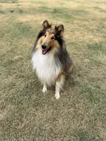 processed/41518821-c5c2-4d2d-a49c-43023c29e007/facility/40a91fd1-ae90-468d-a9e2-0d4277099a71