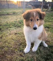 processed/41518821-c5c2-4d2d-a49c-43023c29e007/facility/61fe1e01-24f6-4bf8-a77b-4e737728475a