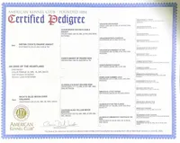 processed/41518821-c5c2-4d2d-a49c-43023c29e007/facility/74d96079-17ff-4364-b6be-7769ce94dcdd