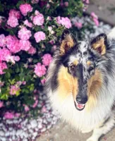 processed/41518821-c5c2-4d2d-a49c-43023c29e007/facility/a9c568b3-a4e2-471d-8f31-d047ecab41bc