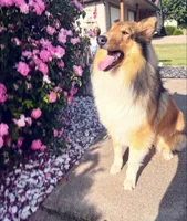 processed/41518821-c5c2-4d2d-a49c-43023c29e007/facility/b103e89c-3f2f-4e14-be53-cb5b4e4a717e