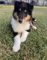 processed/41518821-c5c2-4d2d-a49c-43023c29e007/facility/cad2a319-650d-45e0-980b-baa2c990fad2