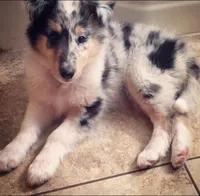 processed/41518821-c5c2-4d2d-a49c-43023c29e007/facility/dddaa4f2-899e-43ef-91b1-3aad40a07e08