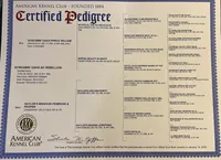 processed/41518821-c5c2-4d2d-a49c-43023c29e007/facility/eabaf2ae-57b9-4214-b39f-145758941591