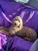 processed/415779ce-bd21-4203-826d-2405e75cc7b5/facility/87f1d175-1d98-4965-bf4f-99942d58434c