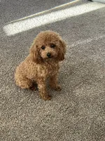 processed/415779ce-bd21-4203-826d-2405e75cc7b5/facility/a392b6dd-2027-4375-9ed3-b307e060e42b