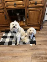 processed/415779ce-bd21-4203-826d-2405e75cc7b5/facility/f9720632-5726-4de5-9978-58217df74db4