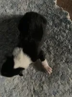 processed/41613500-7196-4cec-8b93-f33656dfd3aa/listing/2302d846-04de-49cc-a3d1-0fdada786bfa/52ad7ae9-edd9-4f68-91cc-d2f1dd82c960