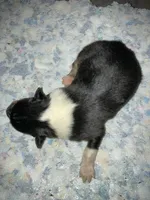 processed/41613500-7196-4cec-8b93-f33656dfd3aa/listing/33cb6322-fd2c-475b-a249-90b1217288b8/d50aaa87-3684-400a-b1ec-19cb1bf53c65